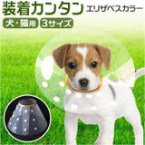 エリザベスカラー 犬 猫用 | BACKYARD FAMILY | 詳細画像1