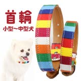 犬 首輪 | BACKYARD FAMILY | 詳細画像1