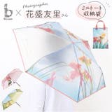 because パーティーインザレイン 折りたたみ傘 | BACKYARD FAMILY | 詳細画像1