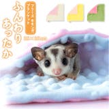 フリース モモンガ ブランケット | BACKYARD FAMILY | 詳細画像1 