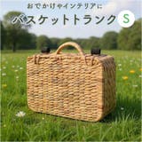 バスケット トランク型 S | BACKYARD FAMILY | 詳細画像1 