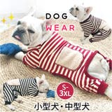 犬服 ドッグウェア 小型中型 | BACKYARD FAMILY | 詳細画像1 
