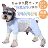 ひんやりドッグウェア ペット 暑さ対策 | BACKYARD FAMILY | 詳細画像1