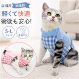 ペット 猫用 術後服 かわいい | BACKYARD FAMILY | 詳細画像1 