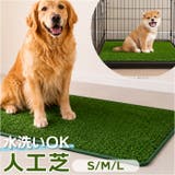 人工芝 ペット用 ペットシート | BACKYARD FAMILY | 詳細画像1 