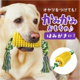 犬用噛むおもちゃ | BACKYARD FAMILY | 詳細画像1 