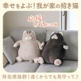 ねこ肯定感 抱きまくら L | BACKYARD FAMILY | 詳細画像4 