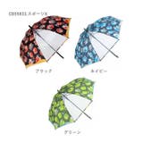 キッズ ボーイズ 55cm ジャンプ傘 | BACKYARD FAMILY | 詳細画像14 