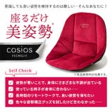 cosios PREMIUM コシオスプレミアム | BACKYARD FAMILY | 詳細画像5