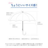 キッズアンブレラ cruxkids50 ジャンプ傘 50cm | BACKYARD FAMILY | 詳細画像5