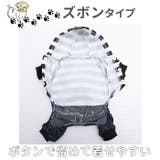 重ね着風犬猫用洋服 cw20 | BACKYARD FAMILY | 詳細画像8 