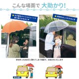 傘ピタ | BACKYARD FAMILY | 詳細画像6 