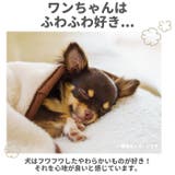 秋 冬 ペット用 防寒 ジャケット gpetwear4101 | BACKYARD FAMILY | 詳細画像3