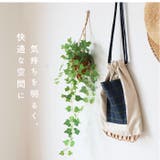 光触媒 インテリアグリーン ハンギング | BACKYARD FAMILY | 詳細画像3 