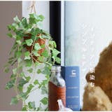 光触媒 インテリアグリーン ハンギング | BACKYARD FAMILY | 詳細画像4 