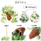 光触媒 インテリアグリーン ハンギング | BACKYARD FAMILY | 詳細画像7 