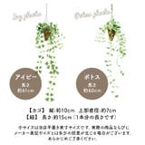 光触媒 インテリアグリーン ハンギング | BACKYARD FAMILY | 詳細画像8 