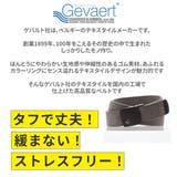 ベルト ゲバルト GEVAERT | BACKYARD FAMILY | 詳細画像2