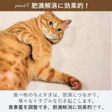 gwj007 ペットおもちゃ フードボウル | BACKYARD FAMILY | 詳細画像6