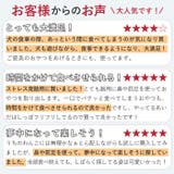 gwj007 ペットおもちゃ フードボウル | BACKYARD FAMILY | 詳細画像8