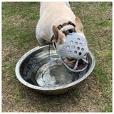 犬用 口輪 短頭種 kdogmaskhd025 | BACKYARD FAMILY | 詳細画像6
