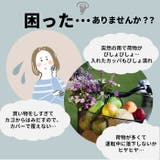 Kawasumi カワスミ おすすめ | BACKYARD FAMILY | 詳細画像2 