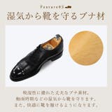 KING YARD プレステージ | BACKYARD FAMILY | 詳細画像5 