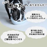フードボール ハンガーボール kpetbowl01 | BACKYARD FAMILY | 詳細画像4