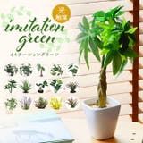 光触媒 インテリアグリーン KUポット | BACKYARD FAMILY | 詳細画像1 