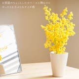 光触媒 インテリアグリーン KUポット | BACKYARD FAMILY | 詳細画像3 