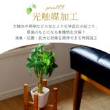 光触媒 インテリアグリーン KUポット | BACKYARD FAMILY | 詳細画像5 