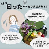 Kawasumi カワスミ おすすめ | BACKYARD FAMILY | 詳細画像2 