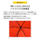 Water front NEW 極軽カーボン 折りたたみ傘 50cm | BACKYARD FAMILY | 詳細画像6
