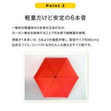 Water front NEW 極軽カーボン 折りたたみ傘 50cm | BACKYARD FAMILY | 詳細画像7