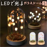 LUMO チューリップガラスドームS | BACKYARD FAMILY | 詳細画像1 