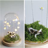 LUMO フラワーガラスドームS | BACKYARD FAMILY | 詳細画像10