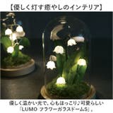 LUMO フラワーガラスドームS | BACKYARD FAMILY | 詳細画像2
