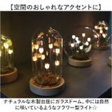 LUMO フラワーガラスドームS | BACKYARD FAMILY | 詳細画像3