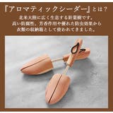 MARKEN マーケン おすすめ | BACKYARD FAMILY | 詳細画像3 