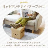 ミッフィー 収納スツール | BACKYARD FAMILY | 詳細画像5 