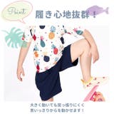 キッズ水着 サーフパンツ mms908 | BACKYARD FAMILY | 詳細画像7