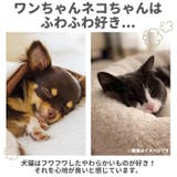 ペット用 マット mtpta23 | BACKYARD FAMILY | 詳細画像3