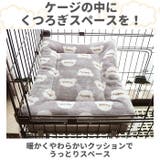 ペット用 マット mtpta23 | BACKYARD FAMILY | 詳細画像5