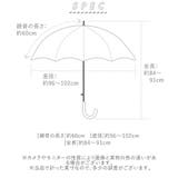 amusant sous la | BACKYARD FAMILY | 詳細画像5 