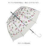 amusant sous la | BACKYARD FAMILY | 詳細画像12 