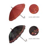 amusant sous la pluie 16本骨 55cm 和柄 長傘 | BACKYARD FAMILY | 詳細画像12 