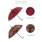 amusant sous la pluie 16本骨 55cm 和柄 長傘 | BACKYARD FAMILY | 詳細画像7 