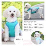 犬用 クールベスト | BACKYARD FAMILY | 詳細画像10 