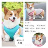 犬用 クールベスト | BACKYARD FAMILY | 詳細画像12 