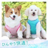 犬用 クールベスト | BACKYARD FAMILY | 詳細画像2 